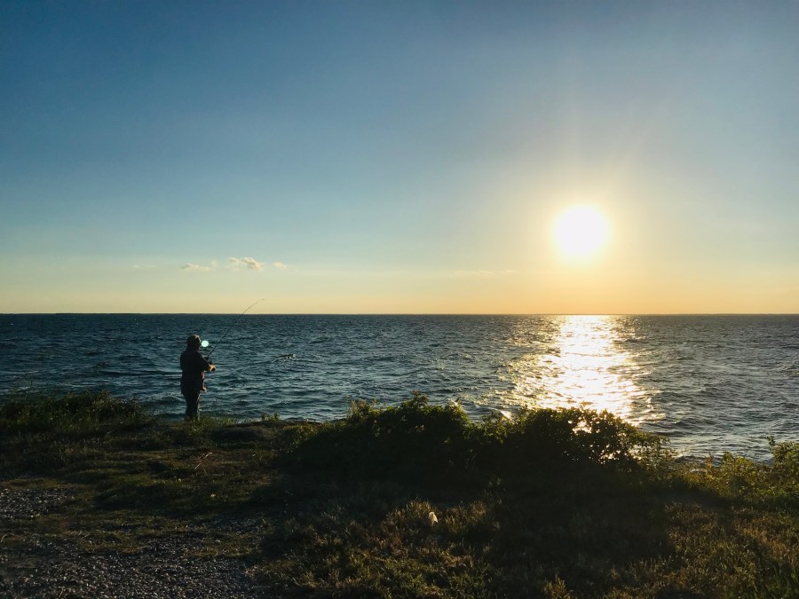 101 Days on Carnivore